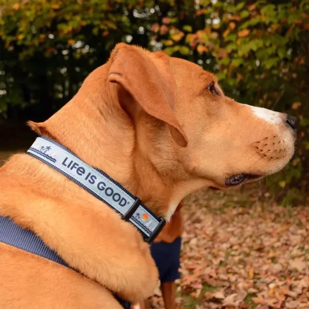 Life is Good Beach Canvas Dog Collar- Beach Blue